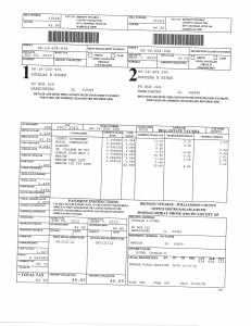 Exhibit N Property Tax Record Cards Williamson County-illinois Il Property Tax Fraud 0429