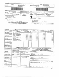 Exhibit N Property Tax Record Cards Williamson County-illinois Il Property Tax Fraud 0431