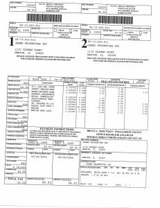 Exhibit S Property Tax Record Cards Williamson County-illinois Il Property Tax Fraud 0122
