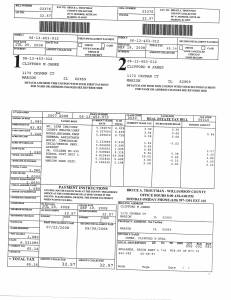 Exhibit S Property Tax Record Cards Williamson County-illinois Il Property Tax Fraud 0129