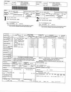 Exhibit U Property Tax Record Cards Williamson County-illinois Il Property Tax Fraud 0522