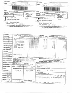 Exhibit U Property Tax Record Cards Williamson County-illinois Il Property Tax Fraud 0523