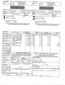 Exhibit U Property Tax Record Cards Williamson County-illinois Il Property Tax Fraud 0528