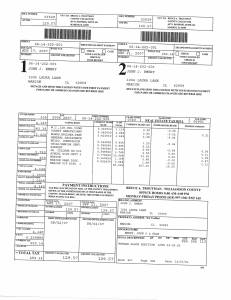 Exhibit V Property Tax Record Cards Williamson County-illinois Il Property Tax Fraud 0163
