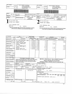 Exhibit V Property Tax Record Cards Williamson County-illinois Il Property Tax Fraud 0176