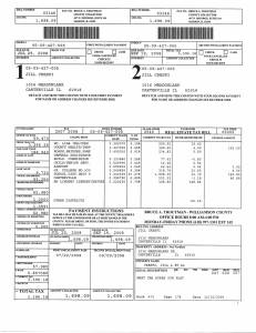 Exhibit W Property Tax Record Cards Williamson County-illinois Il Property Tax Fraud 0254